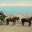 Viewing the Lake from the Boulevard Duluth in 1907 Vintage Print (7 Sizes)