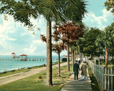 Bay Shore Drive
