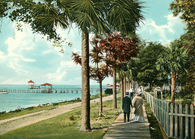 Bay Shore Drive Dunedin FL Vintage Print (7 Sizes) - Acid Free
