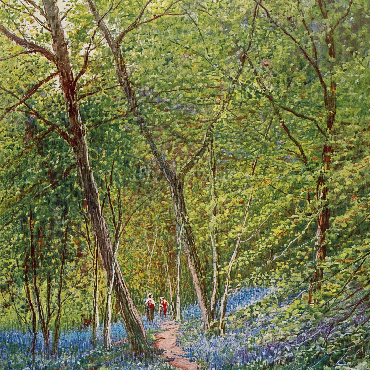 Early Spring New Forest in 1929 Vintage Print (7 Sizes) - High Quality