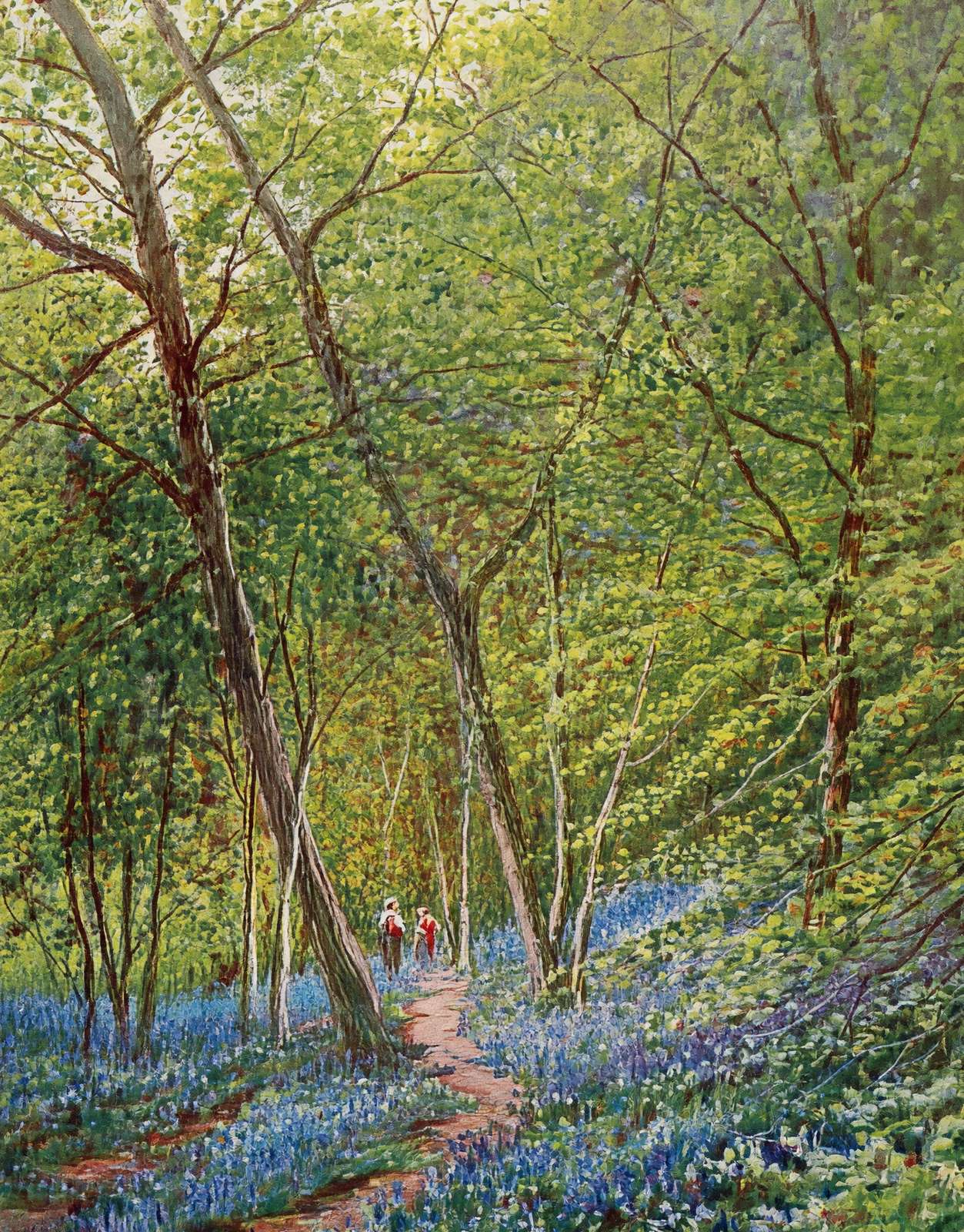 Early Spring New Forest in 1929 Vintage Print (7 Sizes) - High Quality