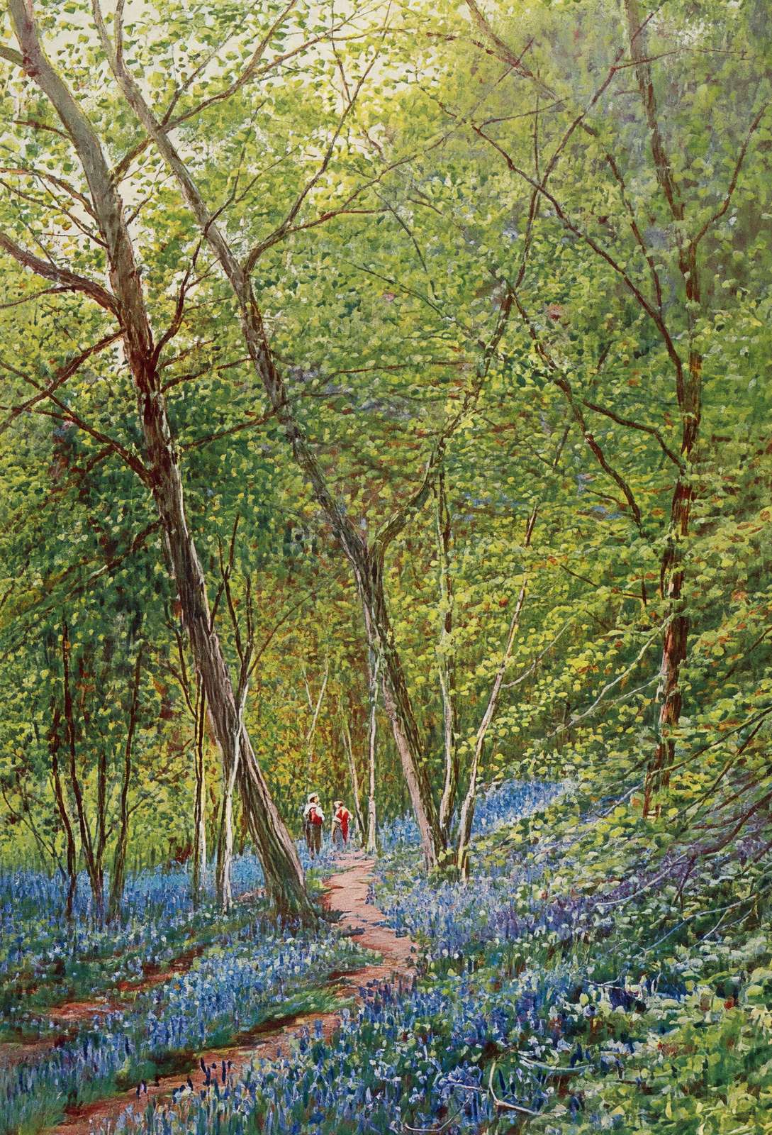 Early Spring New Forest in 1929 Vintage Print (7 Sizes) - High Quality