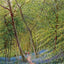 Early Spring New Forest in 1929 Vintage Print (7 Sizes) - High Quality