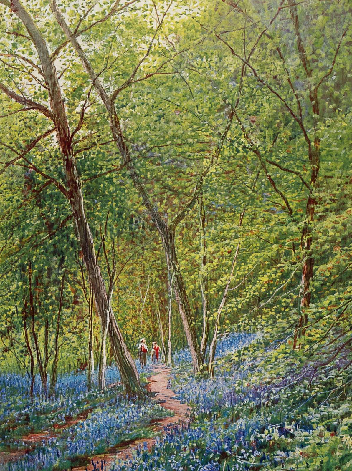 Early Spring New Forest in 1929 Vintage Print (7 Sizes) - High Quality