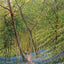 Early Spring