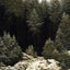 Early Snow 1828 Painting by Caspar David Friedrich Fine Art Print (6 Sizes)