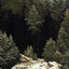 Early Snow 1828 Painting by Caspar David Friedrich Fine Art Print (6 Sizes)