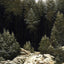 Early Snow fine art print by Caspar David Friedrich (1828)