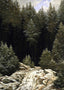 Early Snow 1828 Painting by Caspar David Friedrich Fine Art Print (6 Sizes)
