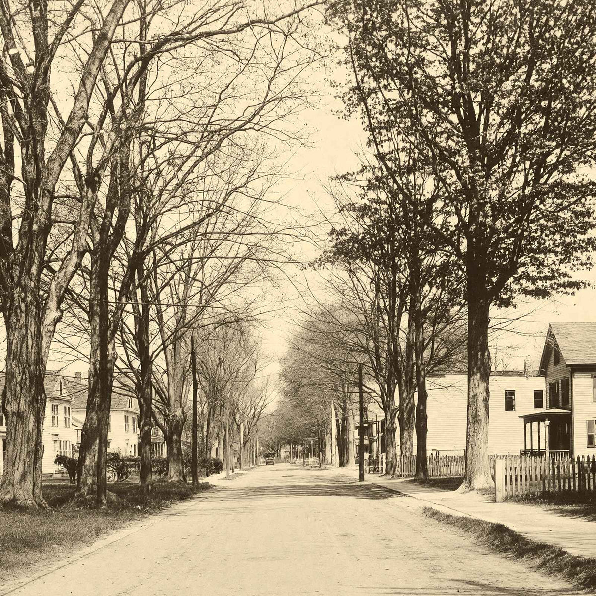 Easthampton MA Pleasant Street Massachusetts in 1907 Vintage Photo (7 Sizes)