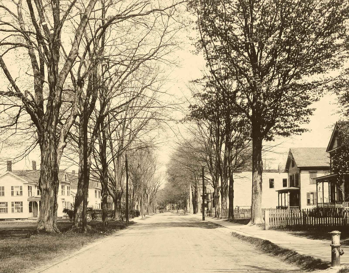 Easthampton MA Pleasant Street Massachusetts in 1907 Vintage Photo (7 Sizes)