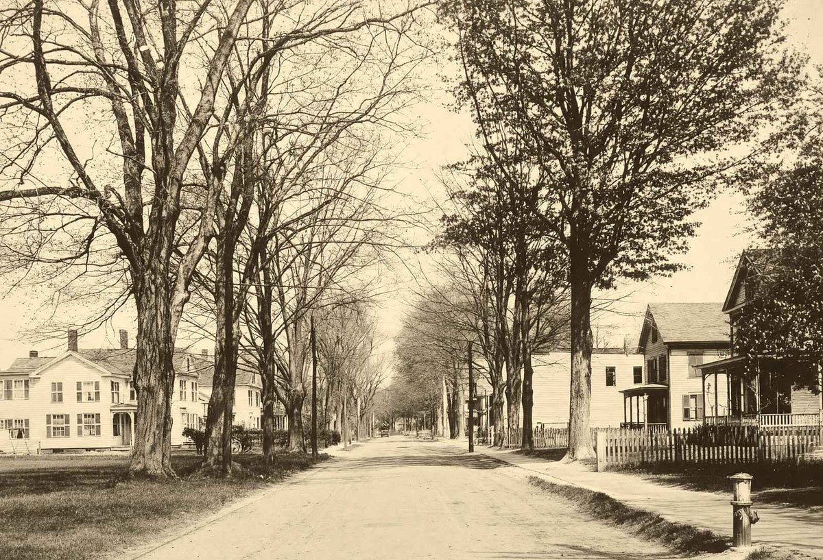 Easthampton MA Pleasant Street Massachusetts in 1907 Vintage Photo (7 Sizes)