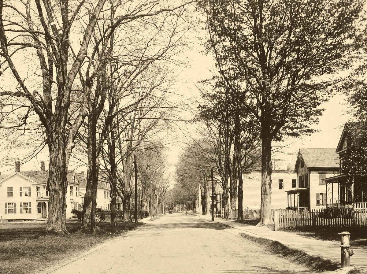 Easthampton MA Pleasant Street Massachusetts in 1907 Vintage Photo (7 Sizes)