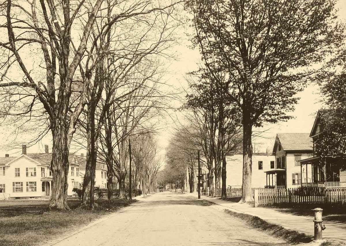 Easthampton MA Pleasant Street Massachusetts in 1907 Vintage Photo (7 Sizes)