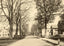 Easthampton MA Pleasant Street Massachusetts in 1907 Vintage Photo (7 Sizes)