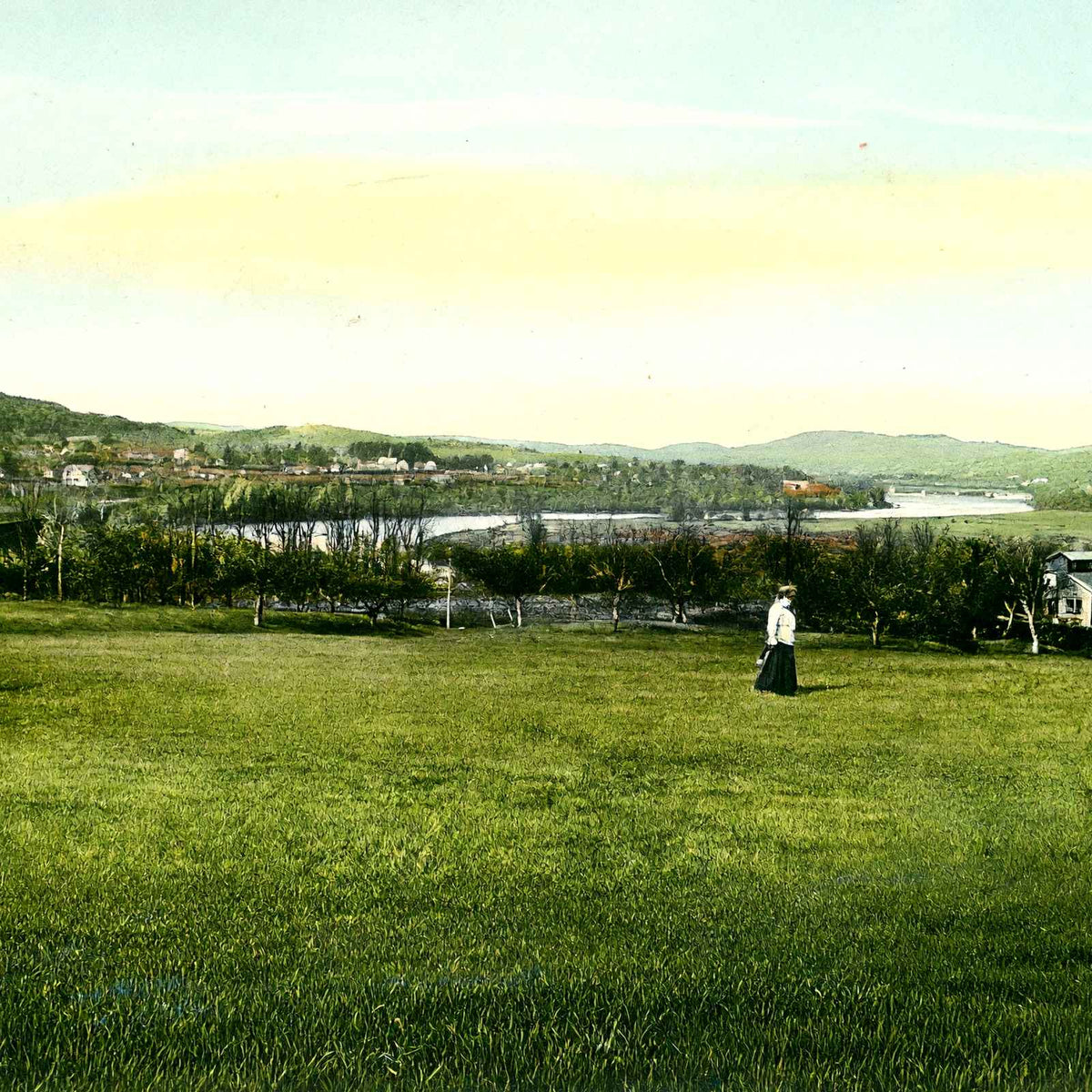 View from Sunset Tree, Northfield, Massachusetts in 1907 Vintage Print (7 Sizes)
