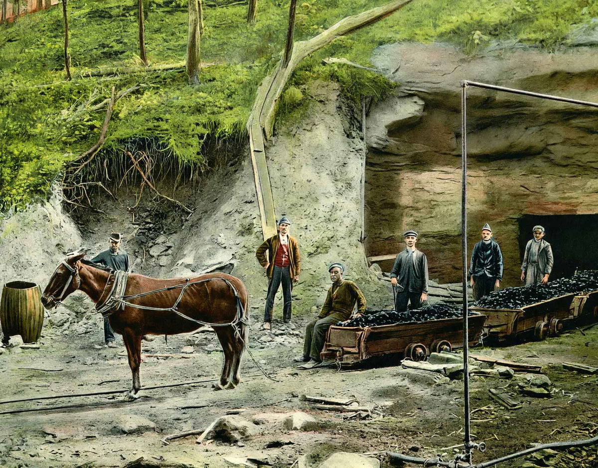 Entrance to an Alabama Coal Mine in 1906 Vintage Print (7 Sizes) - Acid Free