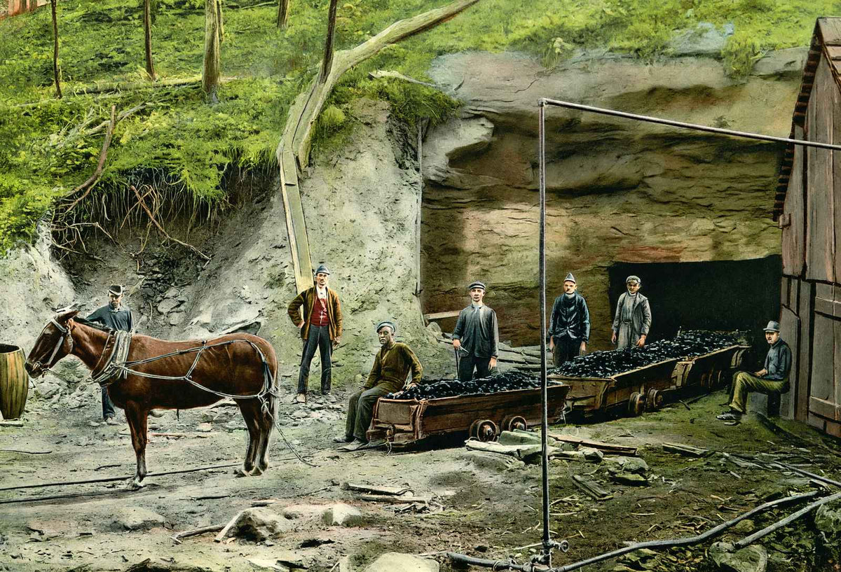 Entrance to an Alabama Coal Mine in 1906 Vintage Print (7 Sizes) - Acid Free