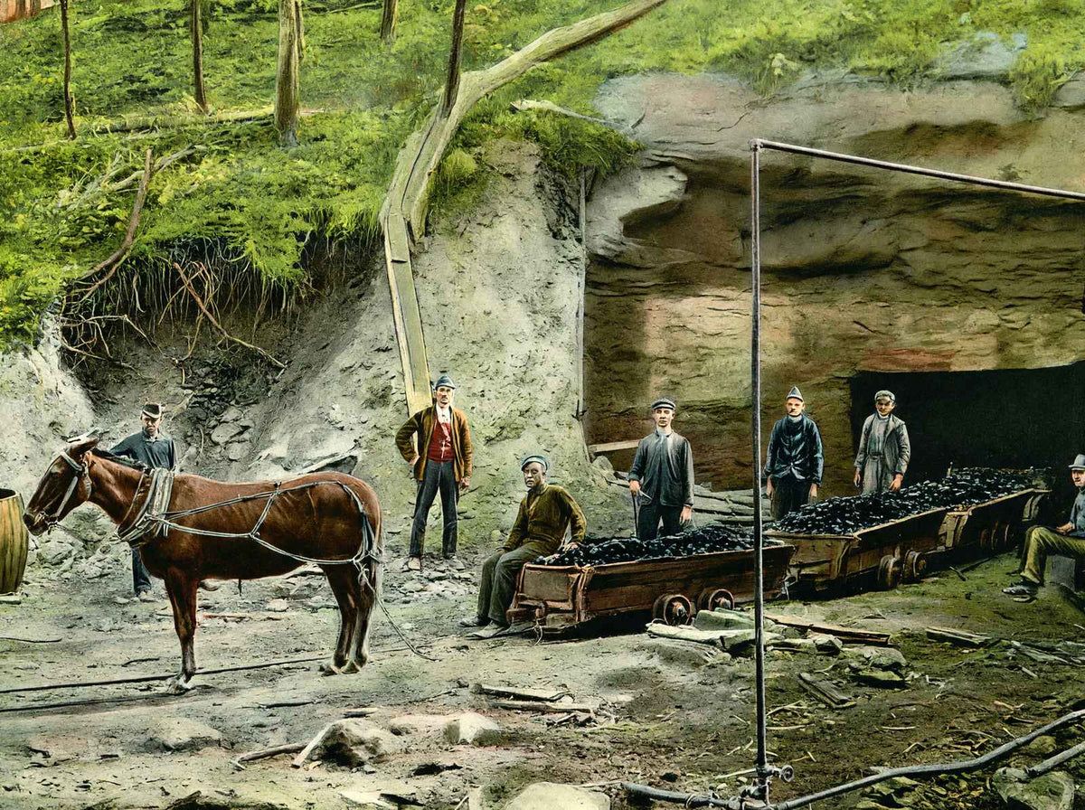 Entrance to an Alabama Coal Mine in 1906 Vintage Print (7 Sizes) - Acid Free