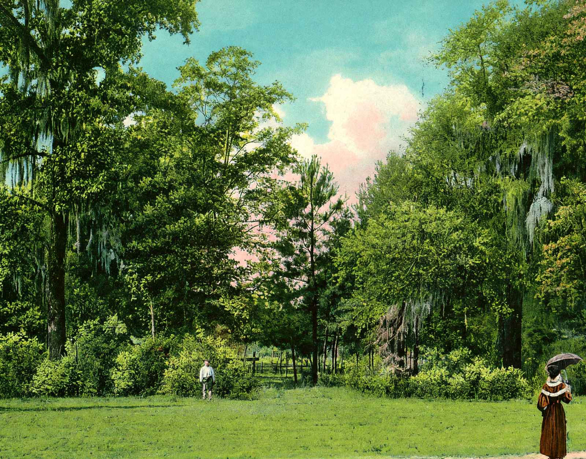 Sulphur Springs Entrance Covington in 1908 Vintage Print (7 Sizes) - Enhanced