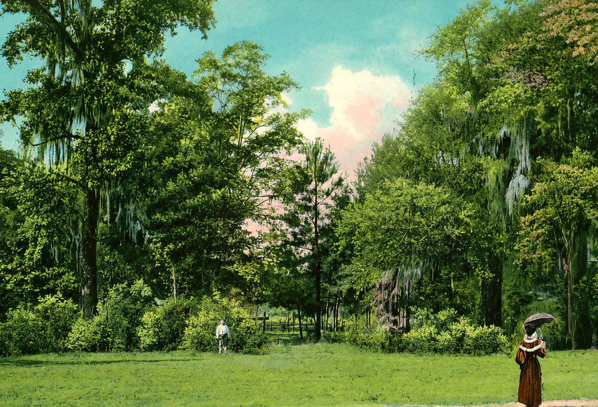 Sulphur Springs Entrance Covington in 1908 Vintage Print (7 Sizes) - Enhanced
