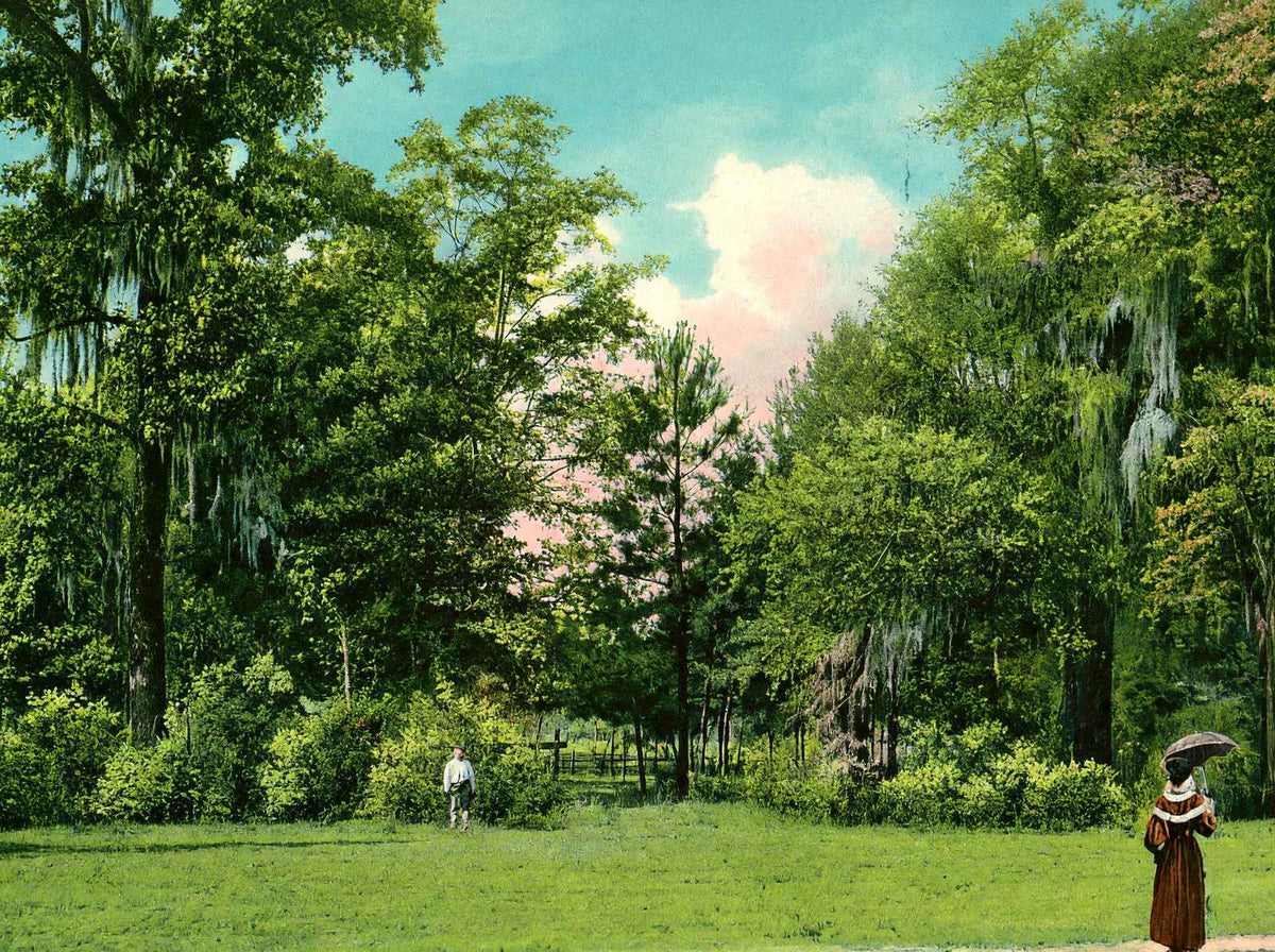 Sulphur Springs Entrance Covington in 1908 Vintage Print (7 Sizes) - Enhanced