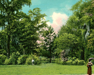 Sulphur Springs Entrance
