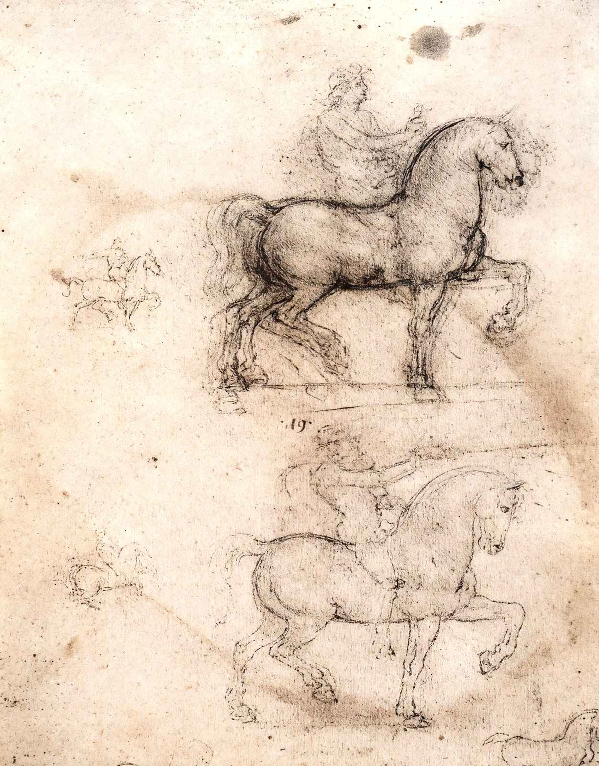 Equestrian Monument Art Print 1517 Painting by Leonardo da Vinci (6 Sizes)