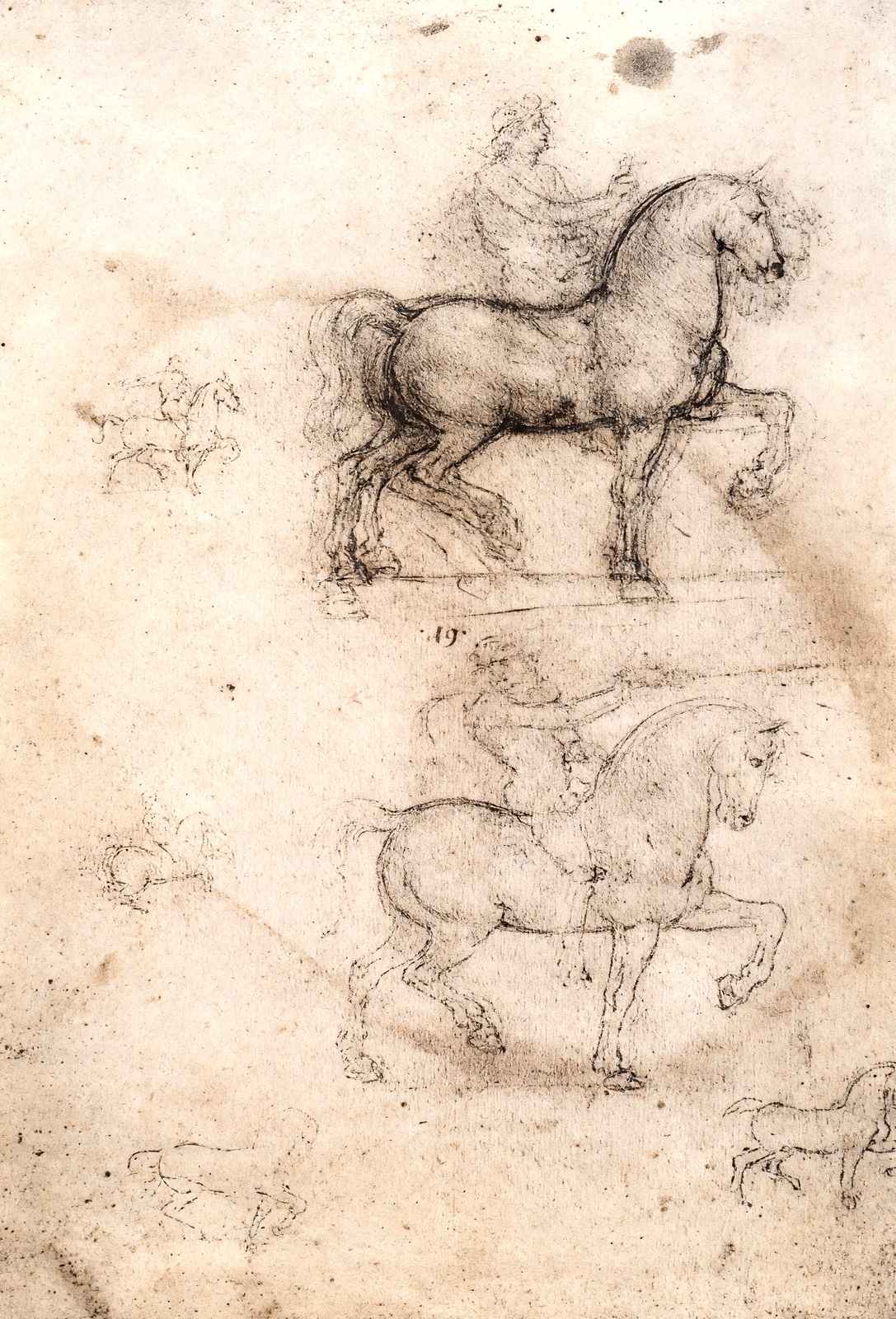 Equestrian Monument Art Print 1517 Painting by Leonardo da Vinci (6 Sizes)