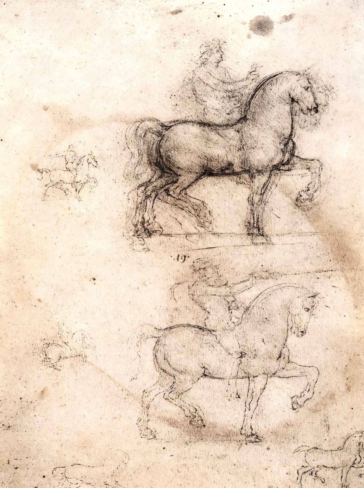 Equestrian Monument Art Print 1517 Painting by Leonardo da Vinci (6 Sizes)