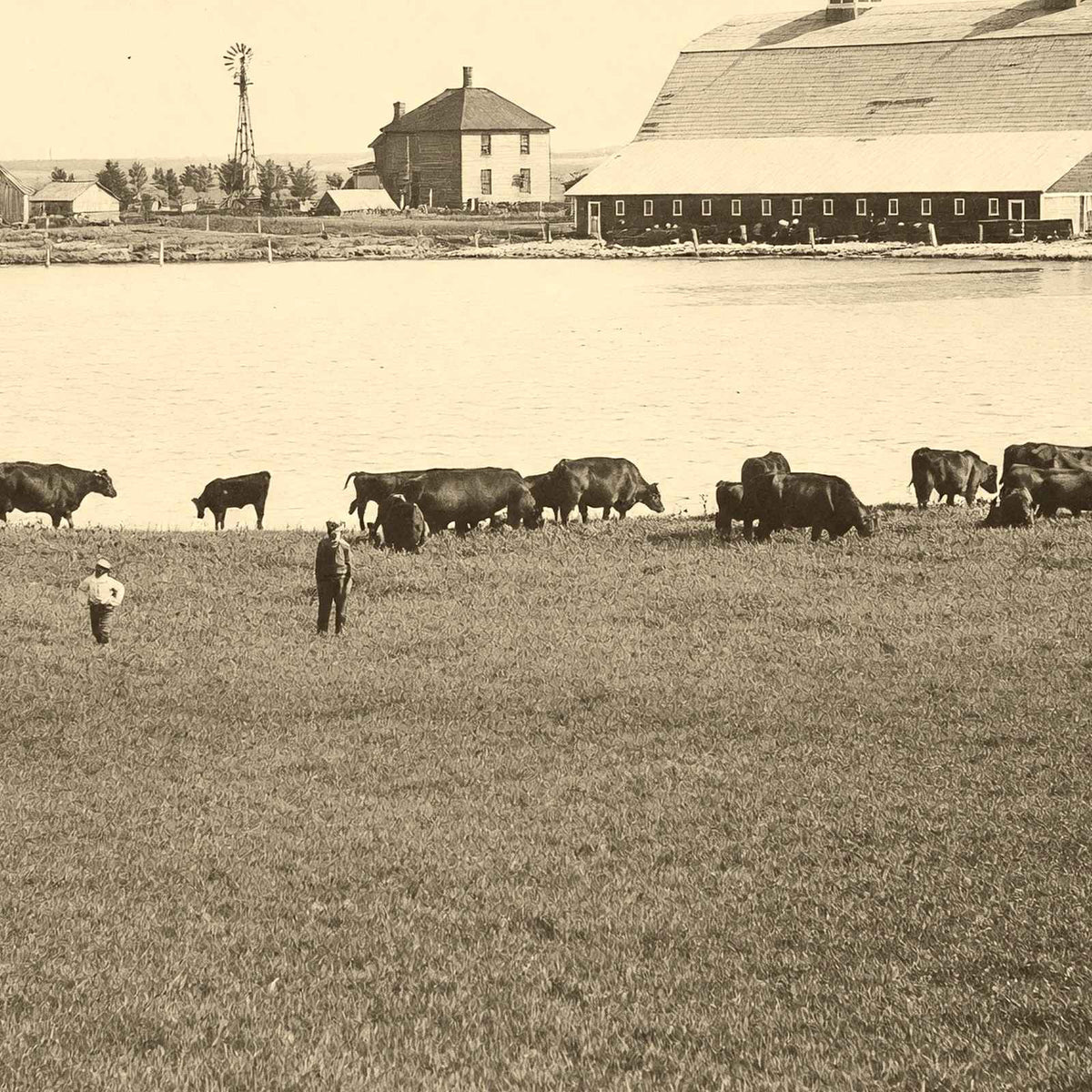 Farm Scene Aberdeen South Dakota in 1905 Vintage Photo (7 Sizes) - Acid Free