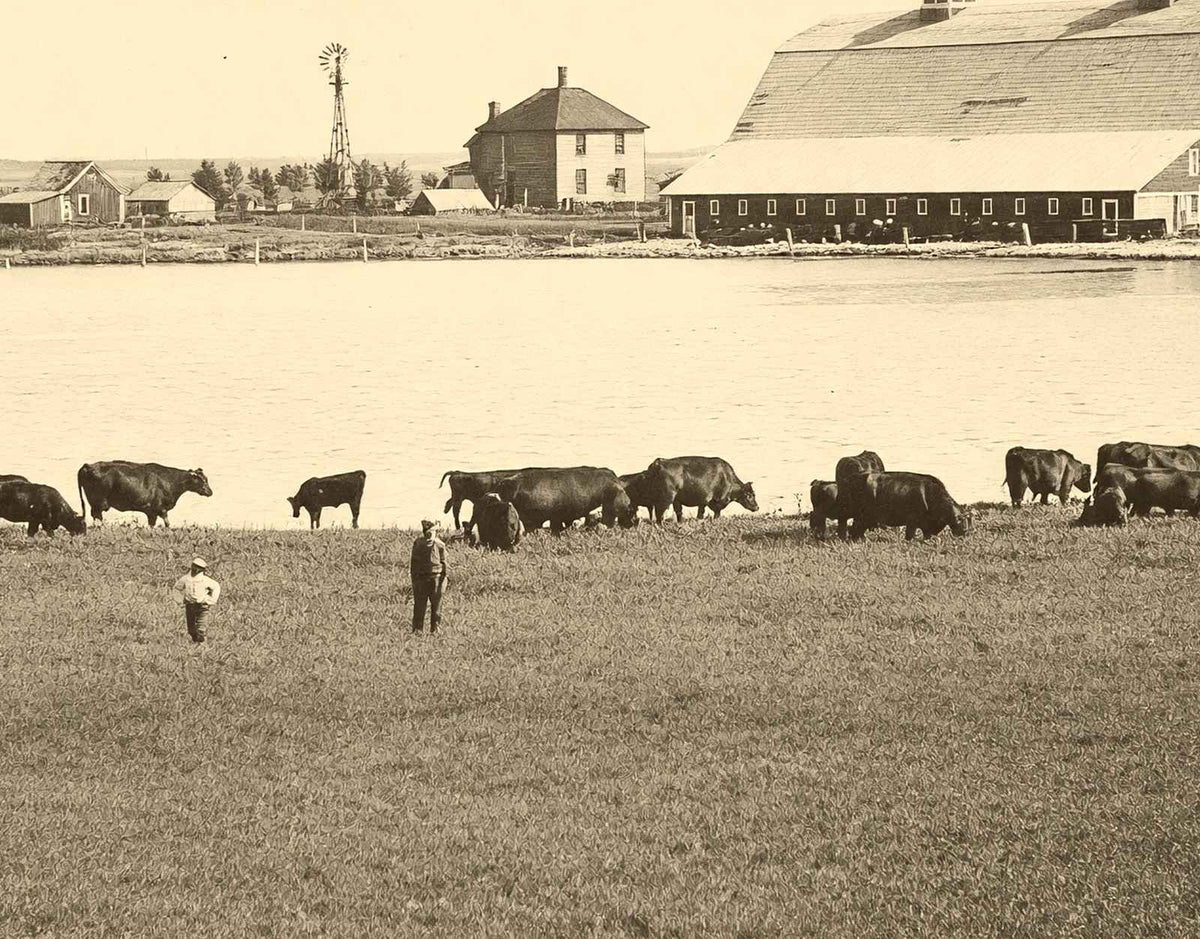Farm Scene Aberdeen South Dakota in 1905 Vintage Photo (7 Sizes) - Acid Free