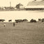 Farm Scene Aberdeen South Dakota in 1905 Vintage Photo (7 Sizes) - Acid Free