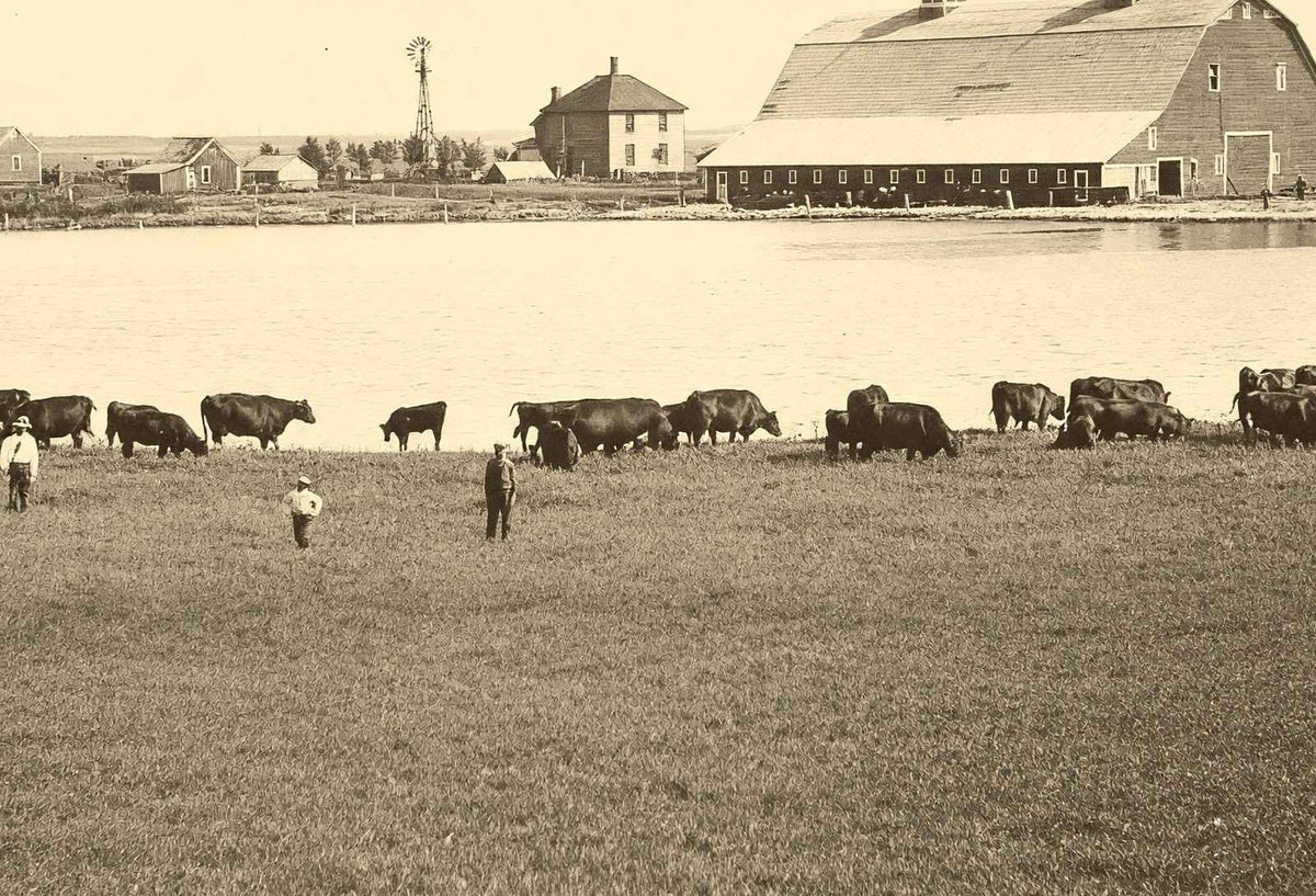 Farm Scene Aberdeen South Dakota in 1905 Vintage Photo (7 Sizes) - Acid Free