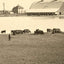 Farm Scene Aberdeen South Dakota in 1905 Vintage Photo (7 Sizes) - Acid Free