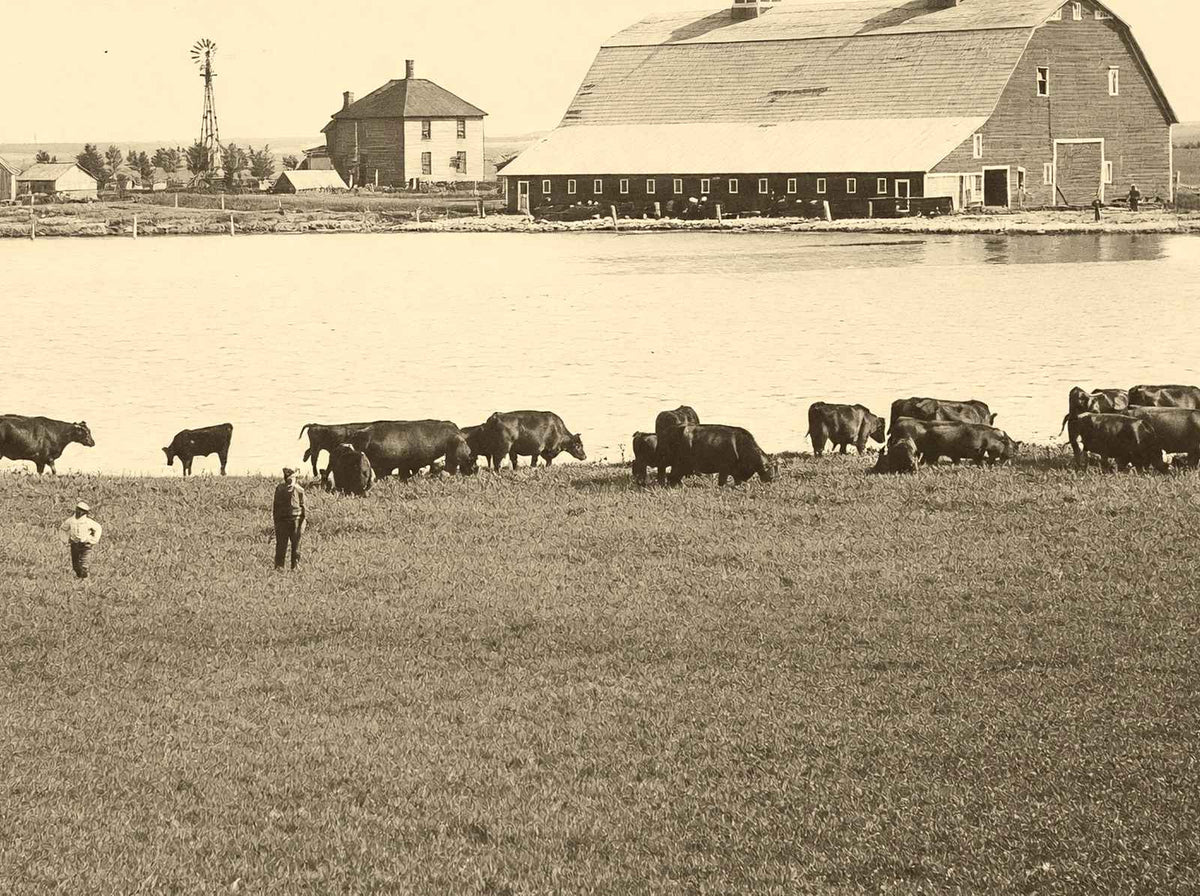 Farm Scene Aberdeen South Dakota in 1905 Vintage Photo (7 Sizes) - Acid Free
