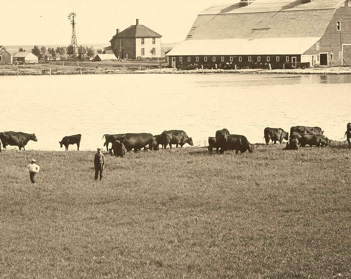 Farm Scene