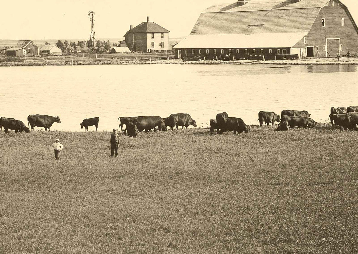 Farm Scene Aberdeen South Dakota in 1905 Vintage Photo (7 Sizes) - Acid Free