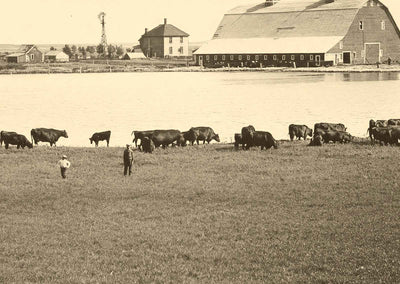 Farm Scene Aberdeen South Dakota in 1905 Vintage Photo (7 Sizes) - Acid Free