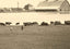 Farm Scene Aberdeen South Dakota in 1905 Vintage Photo (7 Sizes) - Acid Free
