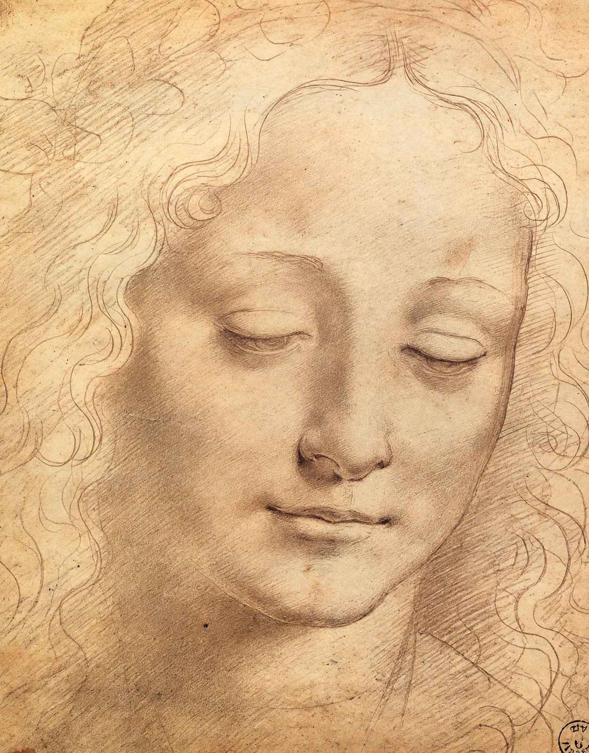Female Head Art Print 1490 Drawing by Leonardo da Vinci (6 Sizes) - Restored