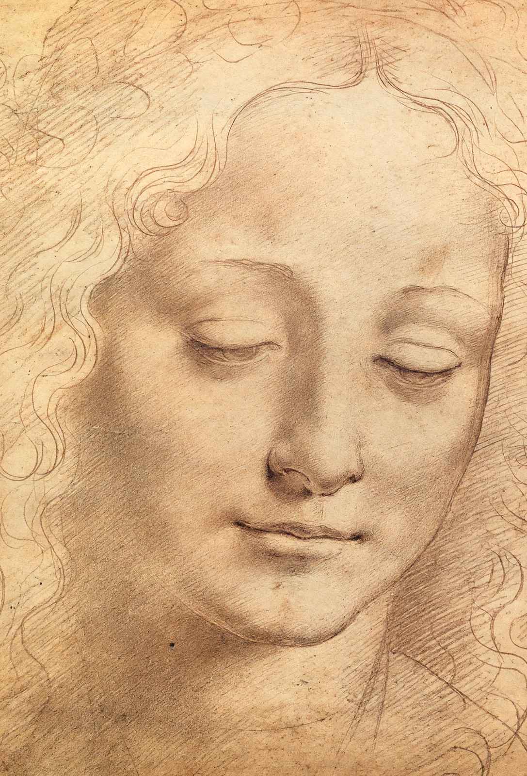 Female Head Art Print 1490 Drawing by Leonardo da Vinci (6 Sizes) - Restored