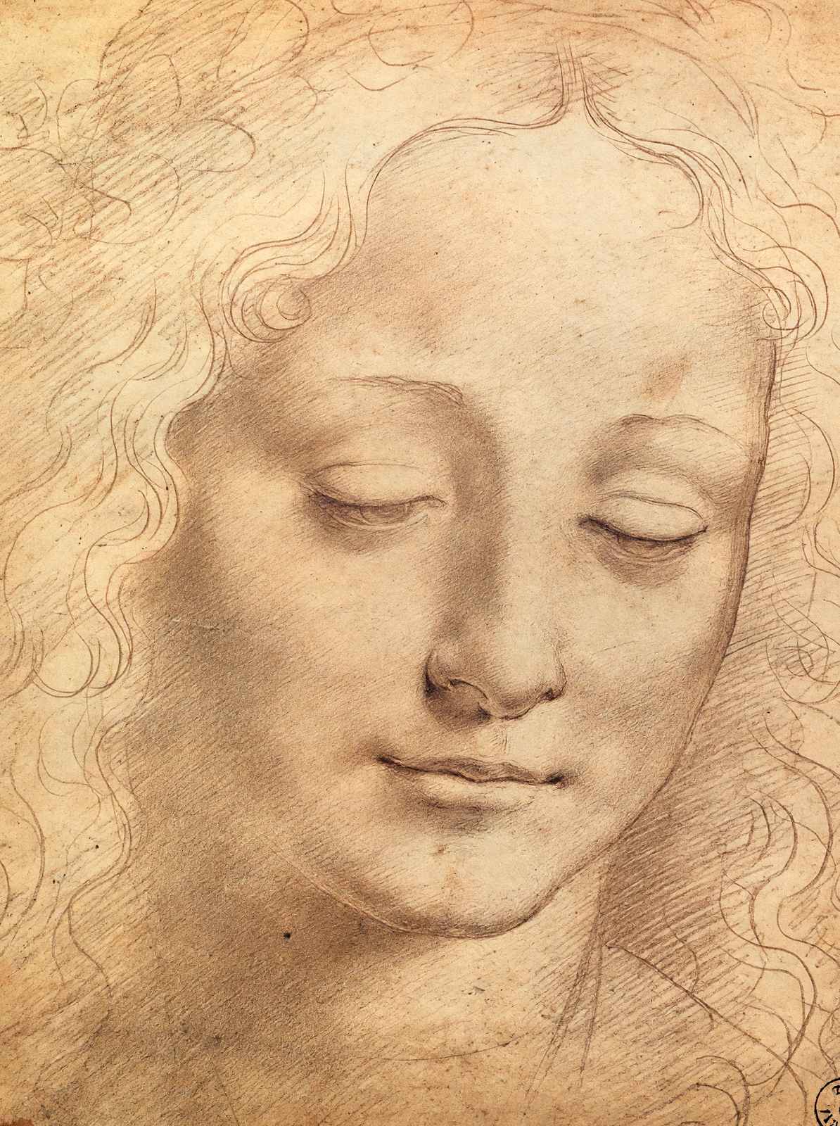 Female Head Art Print 1490 Drawing by Leonardo da Vinci (6 Sizes) - Restored