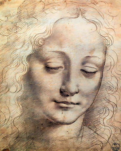 Female Head Painting by Leonardo da Vinci 8x10" Art Print - Restored