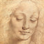 Female Head art print by Leonardo da Vinci (1490)