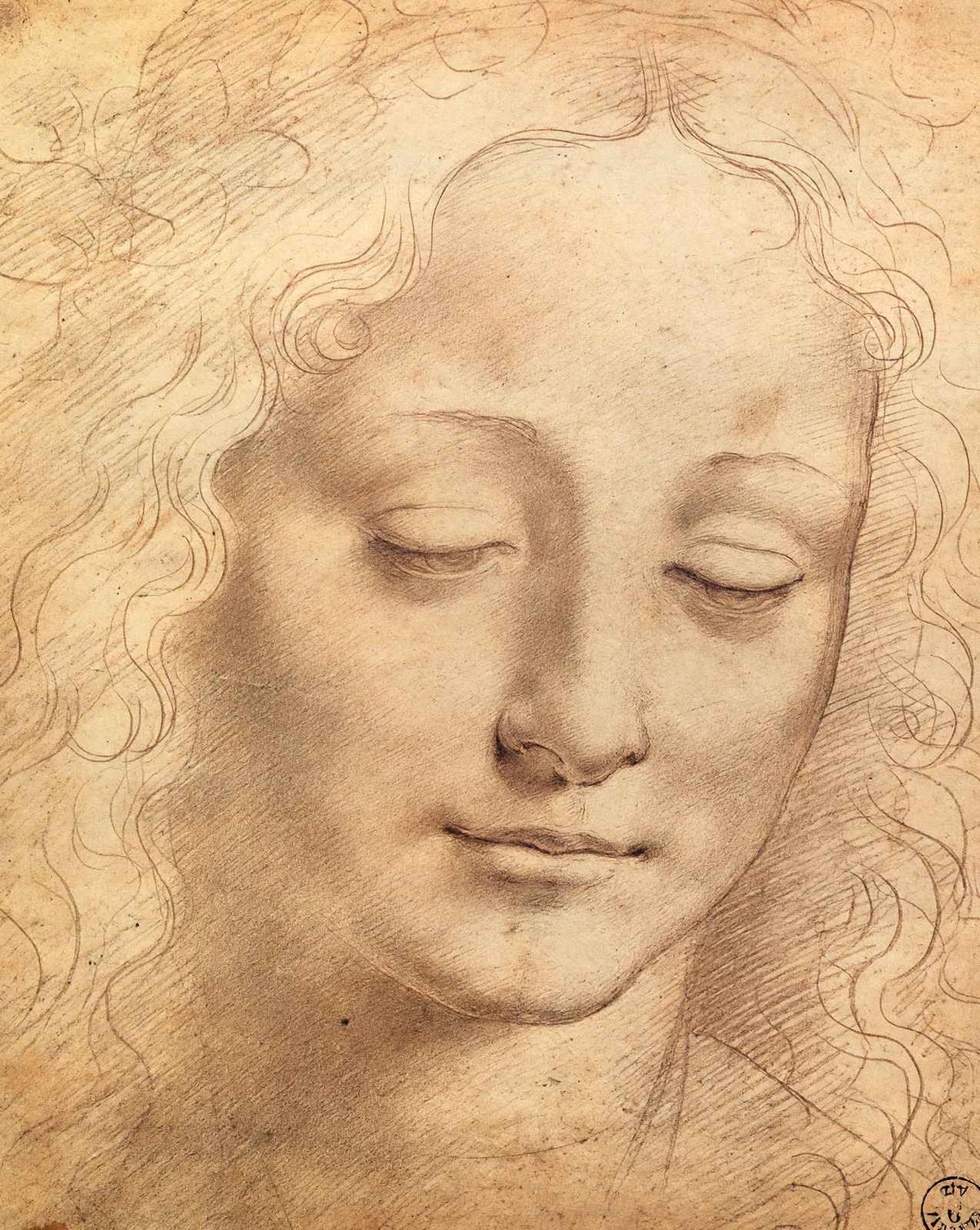 Female Head art print by Leonardo da Vinci (1490)