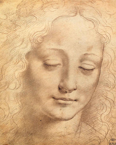 Female Head art print by Leonardo da Vinci (1490)