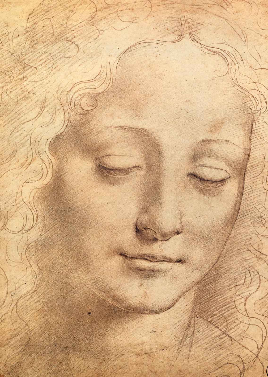 Female Head Art Print 1490 Drawing by Leonardo da Vinci (6 Sizes) - Restored