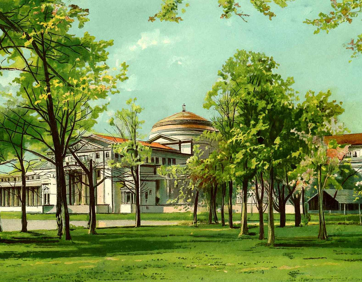 Field Museum Jackson Park Chicago Vintage Print (7 Sizes) - Shipped Flat