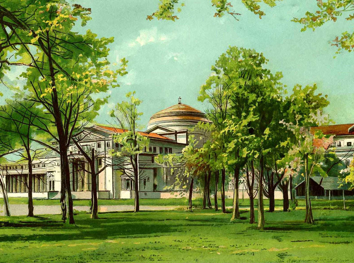 Field Museum Jackson Park Chicago Vintage Print (7 Sizes) - Shipped Flat